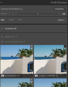 Profilbrowser Lightroom
