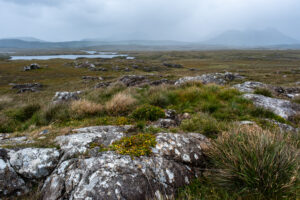 Connemara