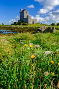 Dunquaire Castle, Kinvara