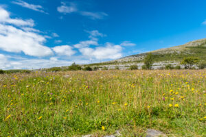 Burren, Irland