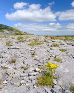 Burren, Irland
