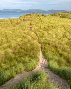 Fotoreise Irland 2022