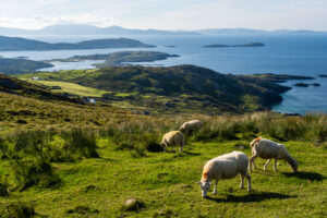 Fotoreise Irland 2022