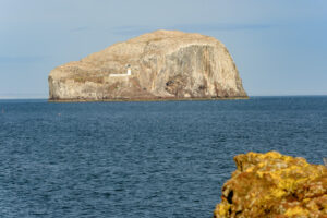 Bass Rock