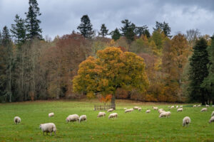Blair Castle in Schottland
