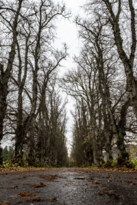 Fotoreise Schottland 2022, Blair Castle