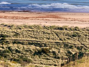 St Cyrus