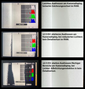 Vergleich Detailverlust Kameradisplay vs. RAW