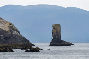 Dingle