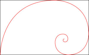 Die Fibonacci-Spirale